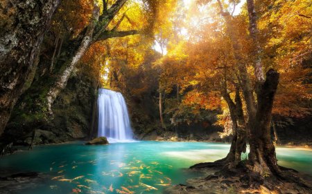 ŞƏHLA XƏLİLQIZI: MƏN NƏYƏ GƏLMİŞƏM, dünyaya Allah? - FOTO ŞƏHLA XƏLİLQIZI: MƏN NƏYƏ GƏLMİŞƏM, dünyaya Allah? - FOTO