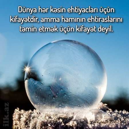 DÜNYA : Müəllif : Günel TürkSoy - FOTO