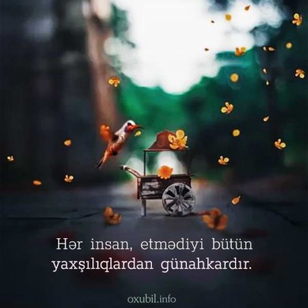 DÜNYA : Müəllif : Günel TürkSoy - FOTO