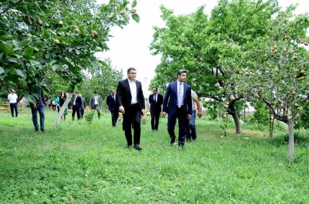 Naftalanda "Qaşaltı bağları"na baxış keçirilib - FOTO