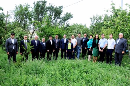Naftalanda "Qaşaltı bağları"na baxış keçirilib - FOTO