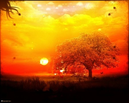 Sevənlərə misal olaq - FOTO