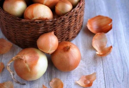 Payızda immuniteti gücləndirən qidalar - FOTO