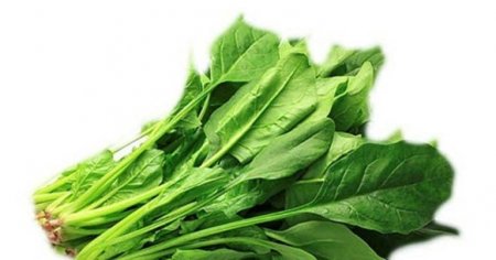 Payızda immuniteti gücləndirən qidalar - FOTO