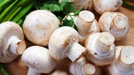 Payızda immuniteti gücləndirən qidalar - FOTO