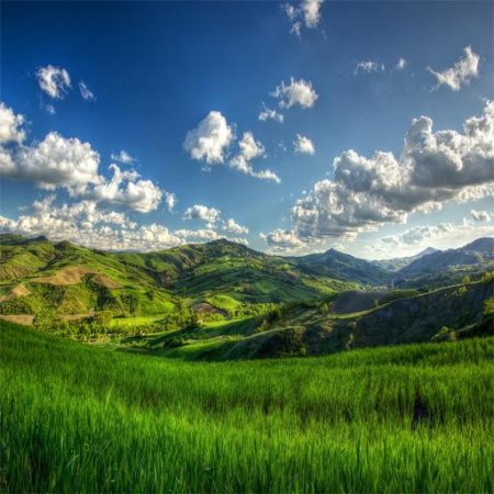 PÜSTƏ RƏVAN: SINDIRMA  FƏLƏK - FOTO