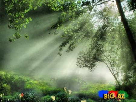 Təbiətə bənzəyirəm - FOTO