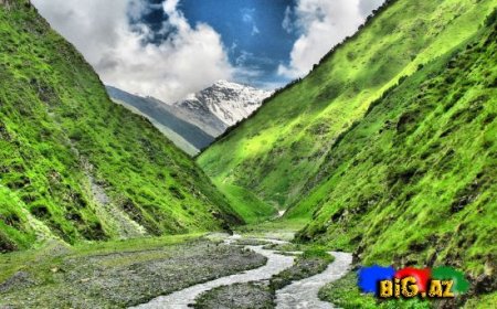 Təbiətə bənzəyirəm - FOTO