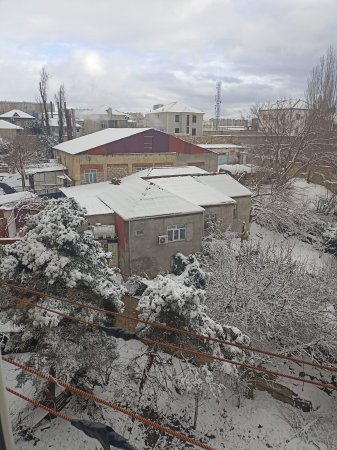 QIŞIN İLK QARI - FOTO
