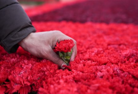 20 Yanvar faciəsinin ildönümü ilə əlaqədar paytaxtda hazırlıqlara başlanılıb