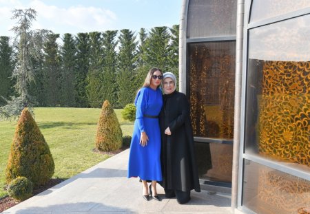 Ankarada Azərbaycanın və Türkiyənin birinci xanımlarının görüşü olub