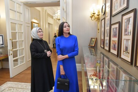Ankarada Azərbaycanın və Türkiyənin birinci xanımlarının görüşü olub
