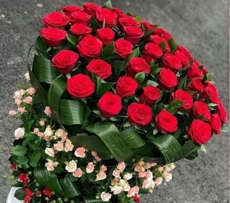 SEVİN, KİŞİLƏR - FOTO