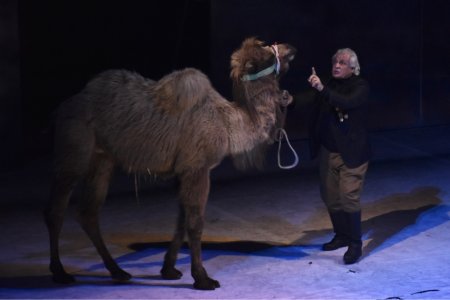 Akademik Milli Dram Teatrında “Əsrə bərabər gün” tamaşasının premyerası olub - FOTOLAR