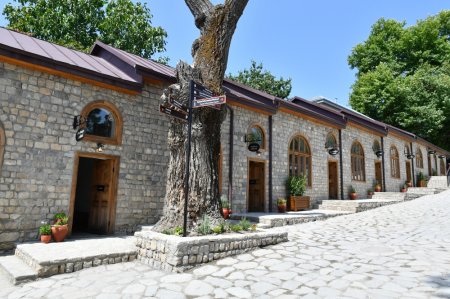 Daşdəmir Əjdəroğlu: Xeyirxah basqallılar - FOTOLAR Daşdəmir Əjdəroğlu: Xeyirxah basqallılar - FOTOLAR