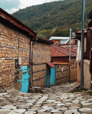 Daşdəmir Əjdəroğlu: Xeyirxah basqallılar - FOTOLAR Daşdəmir Əjdəroğlu: Xeyirxah basqallılar - FOTOLAR