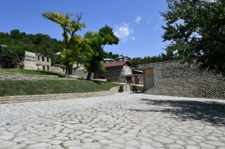 Daşdəmir Əjdəroğlu: Xeyirxah basqallılar - FOTOLAR Daşdəmir Əjdəroğlu: Xeyirxah basqallılar - FOTOLAR