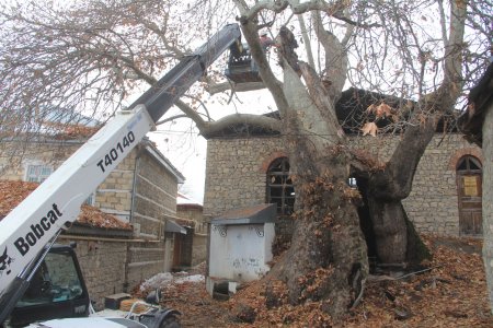 Daşdəmir Əjdəroğlu: Xeyirxah basqallılar - FOTOLAR Daşdəmir Əjdəroğlu: Xeyirxah basqallılar - FOTOLAR