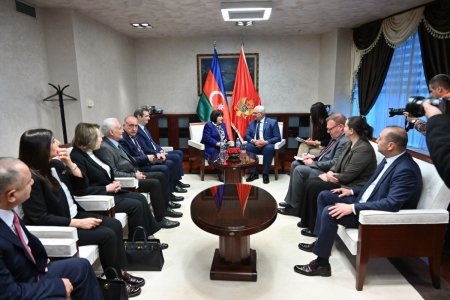 Spiker Sahibə Qafarova Monteneqroya səfər edib - FOTO