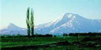 XƏYALIMDA HƏR AN ZƏNGİBASARDIR - FOTO