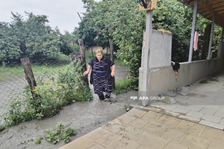 Qəbələdə aramsız yağan yağışlar bir sıra fəsadlara səbəb olub - FOTO