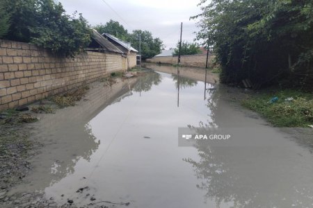 Qəbələdə aramsız yağan yağışlar bir sıra fəsadlara səbəb olub - FOTO