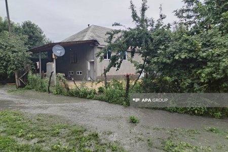 Qəbələdə aramsız yağan yağışlar bir sıra fəsadlara səbəb olub - FOTO