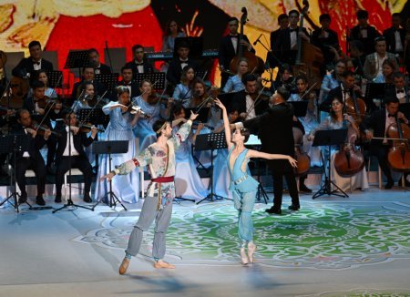 Prezidentlər ailələri ilə konsertdə iştirak etdi - Fotolar