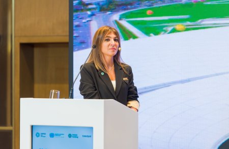 COP29 ərəfəsində media üçün effektiv kommunikasiya strategiyaları mövzusunda seminar təşkil edilib - FOTO