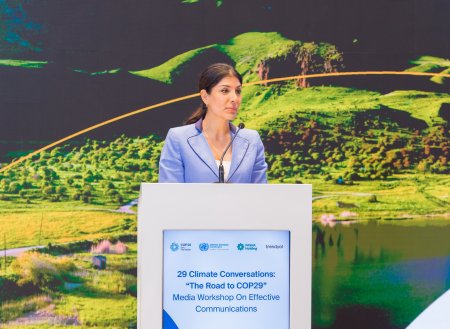 COP29 ərəfəsində media üçün effektiv kommunikasiya strategiyaları mövzusunda seminar təşkil edilib - FOTO