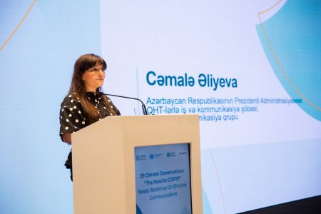 COP29 ərəfəsində media üçün effektiv kommunikasiya strategiyaları mövzusunda seminar təşkil edilib - FOTO