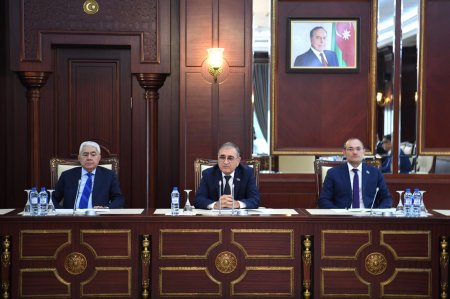Milli Məclisin Aqrar siyasət komitəsinin iclasında beş məsələ müzakirə edilib