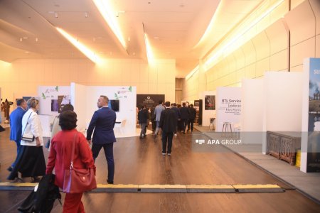 "Baku Cinema Breeze" beynəlxalq film festivalının açılışı olub - FOTO