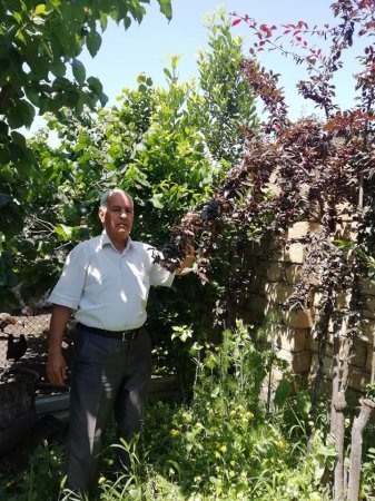 Portretdən cizgilər ... ÜRƏK ADAMI - FOTOLAR Portretdən cizgilər ... ÜRƏK ADAMI - FOTOLAR