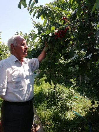 Portretdən cizgilər ... ÜRƏK ADAMI - FOTOLAR Portretdən cizgilər ... ÜRƏK ADAMI - FOTOLAR