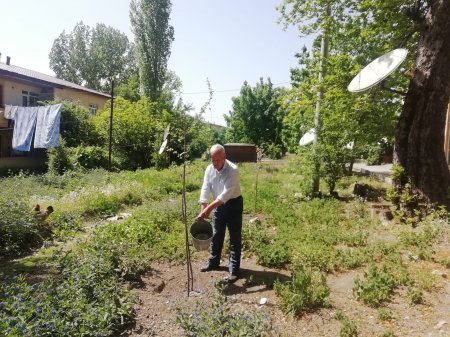 Portretdən cizgilər ... ÜRƏK ADAMI - FOTOLAR Portretdən cizgilər ... ÜRƏK ADAMI - FOTOLAR