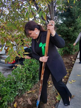  M.Ə.Sabirin Şamaxıdakı Ev- Muzeyinin əməkdaşları tərəfindən ağac və gül kolları əkilib - FOTOLAR