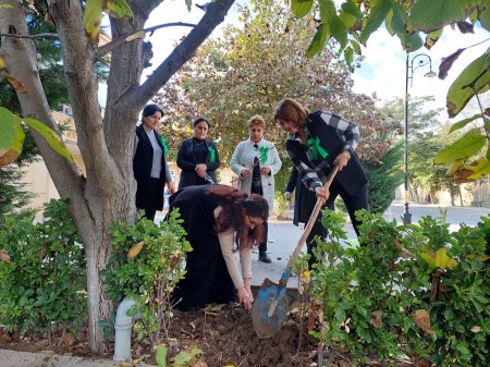  M.Ə.Sabirin Şamaxıdakı Ev- Muzeyinin əməkdaşları tərəfindən ağac və gül kolları əkilib - FOTOLAR