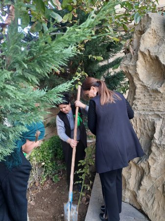  M.Ə.Sabirin Şamaxıdakı Ev- Muzeyinin əməkdaşları tərəfindən ağac və gül kolları əkilib - FOTOLAR