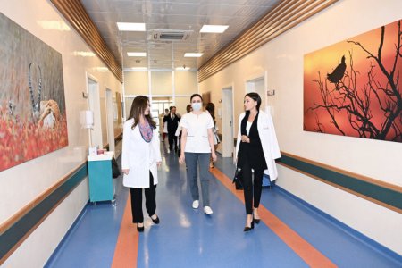 Birinci vitse-prezident Mehriban Əliyeva Talassemiya Mərkəzində olub - FOTO