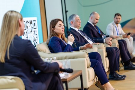 COP29-un Yaşıl Zonasının açılış günündə dayanıqlılıq mövzusuna dair tədbir keçirilib - FOTOLAR