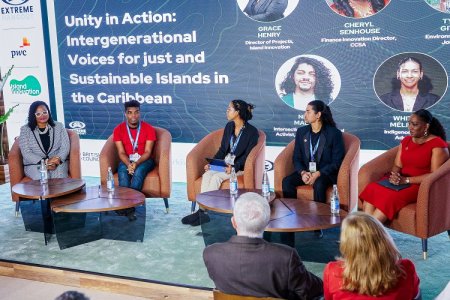 COP29-un Yaşıl Zonasının açılış günündə dayanıqlılıq mövzusuna dair tədbir keçirilib - FOTOLAR