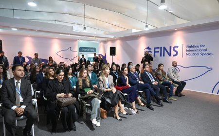 Leyla Əliyeva sənədli film nümayişində - Fotolar Leyla Əliyeva sənədli film nümayişində - Fotolar