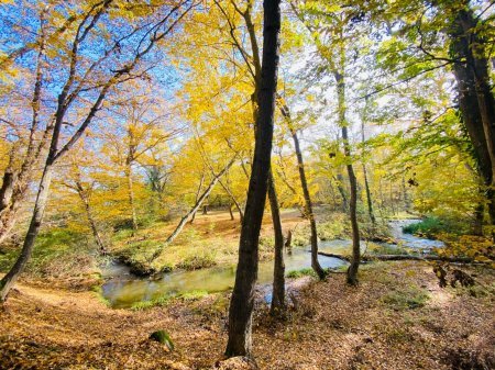 Milli parklarımızdan payız etüdləri... - Fotolar Milli parklarımızdan payız etüdləri... - Fotolar