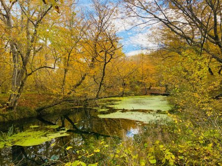 Milli parklarımızdan payız etüdləri... - Fotolar Milli parklarımızdan payız etüdləri... - Fotolar