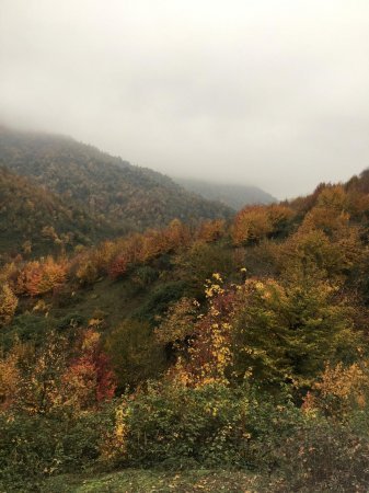 Milli parklarımızdan payız etüdləri... - Fotolar Milli parklarımızdan payız etüdləri... - Fotolar