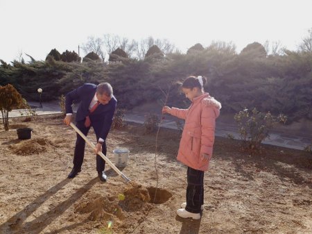 Naxçıvanda həyata keçirilən “Yaşıl məktəb” layihəsinə yekun vurulub - FOTOLAR