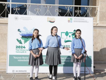 Naxçıvanda həyata keçirilən “Yaşıl məktəb” layihəsinə yekun vurulub - FOTOLAR