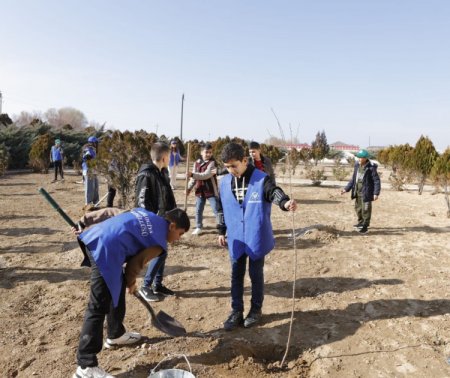Naxçıvanda həyata keçirilən “Yaşıl məktəb” layihəsinə yekun vurulub - FOTOLAR