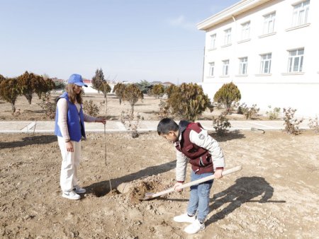 Naxçıvanda həyata keçirilən “Yaşıl məktəb” layihəsinə yekun vurulub - FOTOLAR